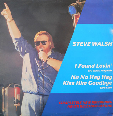 Steve Walsh - I Found Lovin'