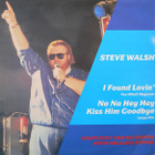 Steve Walsh - I Found Lovin' - pikkukuva 1