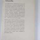 Curt Lindhe : Urheilukalastusta Atlantilla - pikkukuva 2