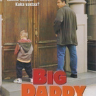 DVD: Big Daddy - pikkukuva 1
