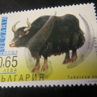 Bulgaria 2000: eläimiä - pikkukuva 5