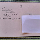 Came: ruusunoksia, kulkenut 1955 käsipostissa - pikkukuva 2