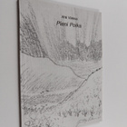 Ahti Vielma : Pieni poika (signeerattu) - pikkukuva 1