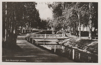 OULU - KAUPUNGIN PUISTOA