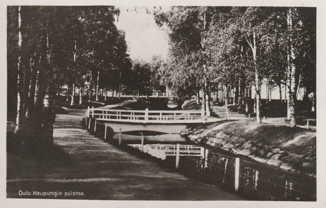 OULU - KAUPUNGIN PUISTOA