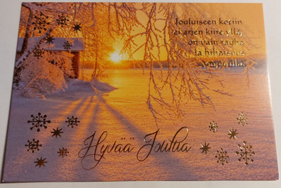 Hopea/Kultafolioitu joulukortti