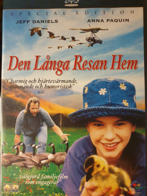 Tyttö ja villihanhet DVD