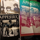 APPENDIX – EI RAHA OO MUN VALUUTTAA LP 2022 USA + badge - pikkukuva 3