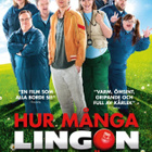 Hur Många Lingon Finns Det i Världen  -  DVD - pikkukuva 1