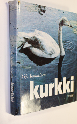 Yrjö Knuutinen : Kurkki
