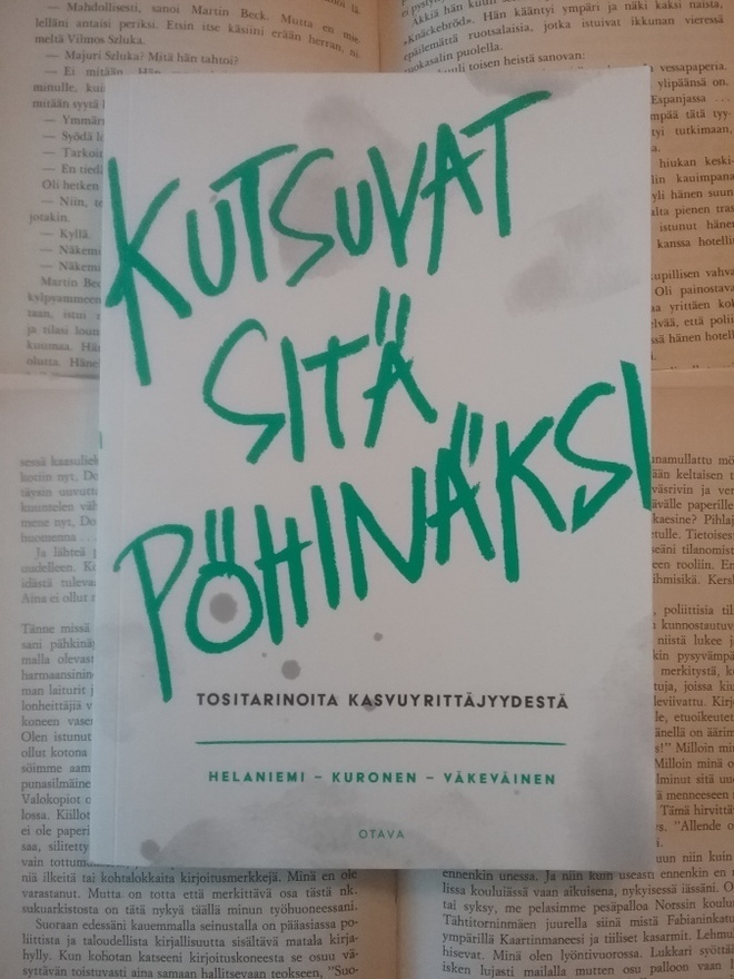 Kutsuvat sitä pöhinäksi (nid.)