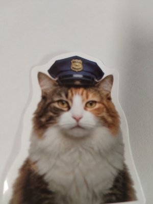 Kissa tarra.