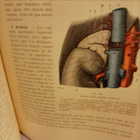 RANSKANKIELINEN ANATOMIAN OPPIKIRJA - pikkukuva 5