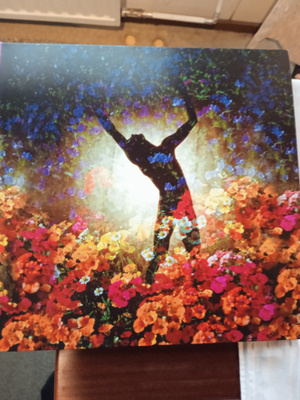 LP-LEVY: TONY GERBER : SECRET GARDEN