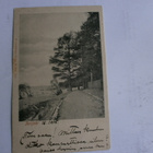 Terijoki, rantamaisemaa, vanha mv kortti, p. 1905 - pikkukuva 1