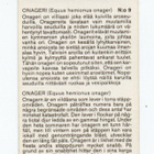 Purkkakuva Korkeasaari n:o 9 ONAGERI Purukumikuva - pikkukuva 2