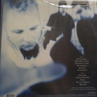 EVANESENCE - FALLEN - EU 2017 - M-/M- LP - pikkukuva 2