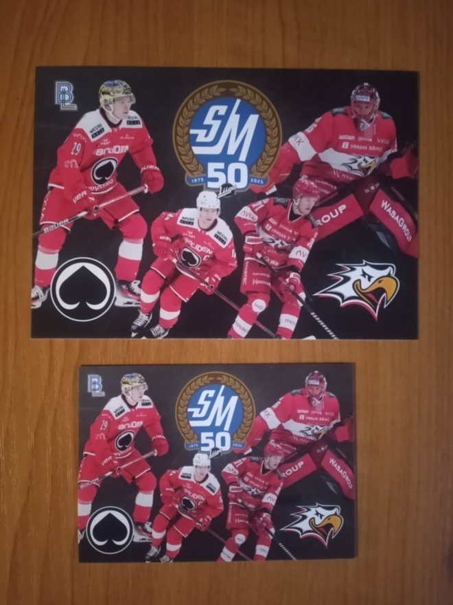 2024-25 Blueline Box card +Jumbo Ässät