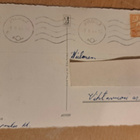 kukkakortti, neilikoita, kulkenut 1961 - pikkukuva 2