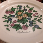 4 x Arabia Botanica Lautanen , uudenveroinen Ø 20.5cm - pikkukuva 2