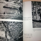 1936 Wild Wonderful Lapland, Villi Kaunis Lappi - pikkukuva 3