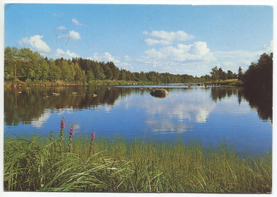 Siikajoki Revonlahdella, kulkenut