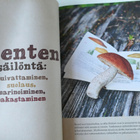 Katrin Press: Sieniä pataan, pannulle ja purkkiin - pikkukuva 3