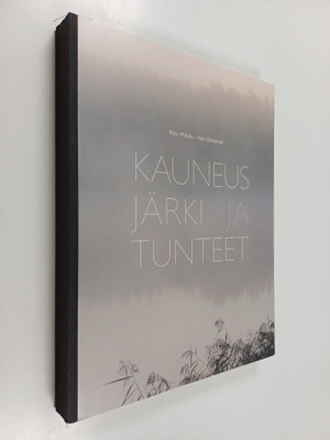 Ilpo Okkonen ym. : Kauneus, järki ja tunteet