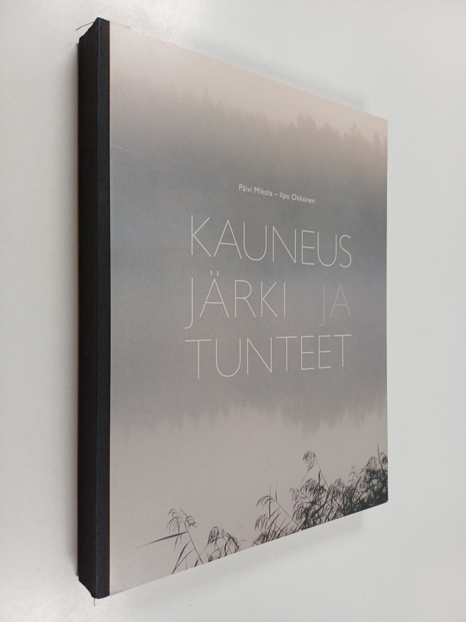 Ilpo Okkonen ym. : Kauneus, järki ja tunteet
