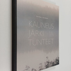 Ilpo Okkonen ym. : Kauneus, järki ja tunteet - pikkukuva 1