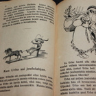 Aukusti Salo - Uusi Aapinen 1933 - pikkukuva 5