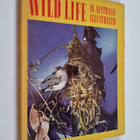 Charles S. Barrett : Wild life in Australia illustrated - pikkukuva 1