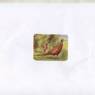Vanha Kiiltokuva FASAANI - pikkukuva 1