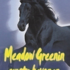 Anne Louise MacDonald: Meadow Greenin musta hevonen - pikkukuva 1