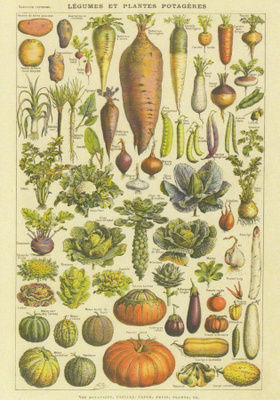 Larousse vihannekset