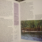 Dag Kjelsaas: RETKEILIJÄN ELÄINOPAS (2005) Sis.postikulut - pikkukuva 3