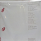 CRAIG SAFAN - WARNING SIGN (LIMITED EDITION) M/M VINYL 2LP - pikkukuva 2