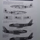 Sabre,Mustang Mk.IV, Tempest Mk.II  dekaaliarkki  1/48 - pikkukuva 4