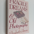Elizabeth Gibson : Fragile Dreams and Old Photographs - pikkukuva 1