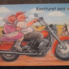 KULKEMATON TERHO PELTONIEMI HÖRÖLÄ SARJAA 226/3 - pikkukuva 1