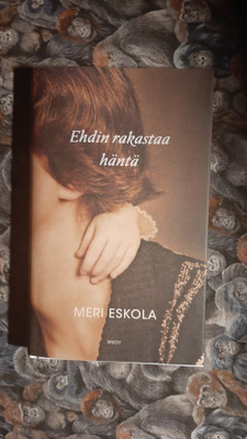 Meri Eskola : Ehdin rakastaa häntä 1p