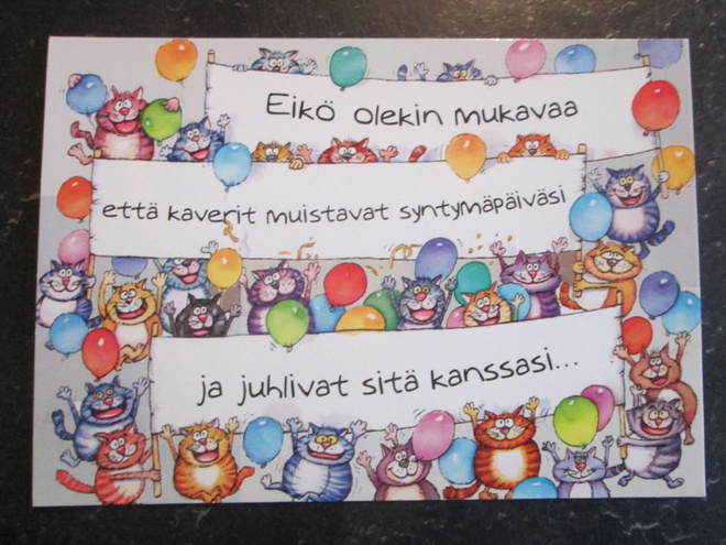 KULKEMATON SYNTYMÄPÄIVÄVIERAINA ERIVÄRISIÄ KISSOJA PALJON