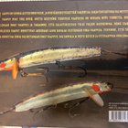 Jormanainen, Rapala - Ottivaappuja vuolemaan (sid.) - pikkukuva 2