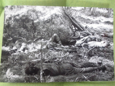 Teikarsaaren taistelu 1.7.1944 Kaatuneita vihollisia