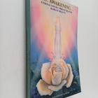 Patricia Diane Cota-Robles : The Awakening : Eternal Yout... - pikkukuva 1