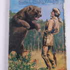 Walt Disney : Davy Crockett - Vildmarkens hjälte : en ber... - pikkukuva 2