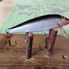 Rapala Countdown Finland 5cm - pikkukuva 1