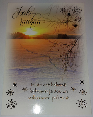 Hopea/Kultafolioitu joulukortti