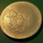 2007 American Silver Eagle One Dollar 1 OZ Fine Silver 31,1g - pikkukuva 2