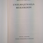 Briitta Simpson : Unelmajunalla Meksikoon - pikkukuva 3